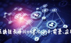全方位解析区块链长币（Long Coin）：前景、应用