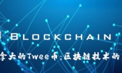 和关键词 探索加拿大的Twee币：区块链技术的未来