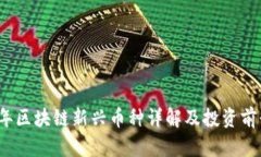 2023年区块链新兴币种详解及投资前景分析