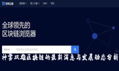 神雾双雄区块链的最新消息与发展动态分析