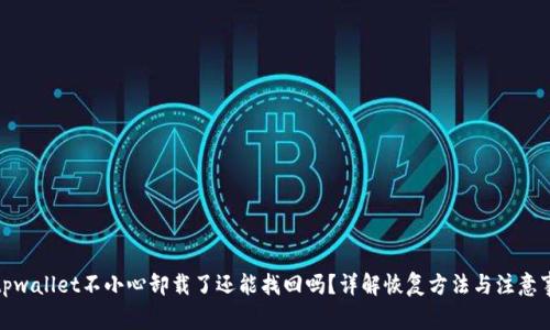 : tpwallet不小心卸载了还能找回吗?详解恢复方法与注意事项