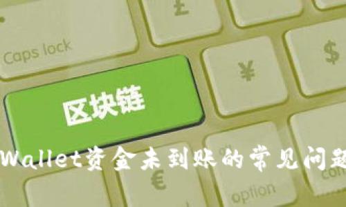 解决转入TPWallet资金未到账的常见问题及处理方法