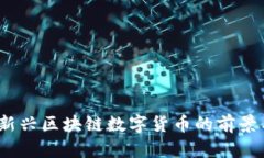 PI币：新兴区块链数字货币的前景与挑战