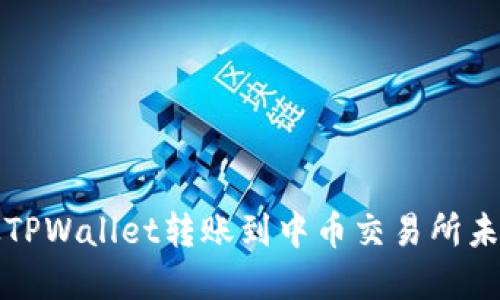 如何解决从TPWallet转账到中币交易所未到账的问题