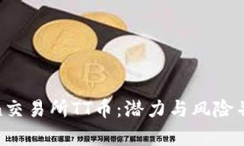 国内区块chain交易所TT币:潜力与风险并存的数字资产