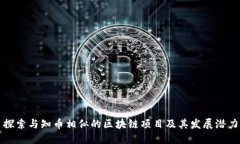 探索与知币相似的区块链项目及其发展潜力