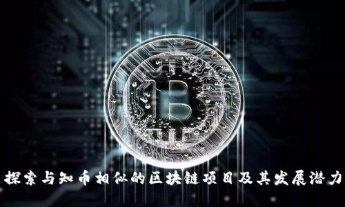 探索与知币相似的区块链项目及其发展潜力
