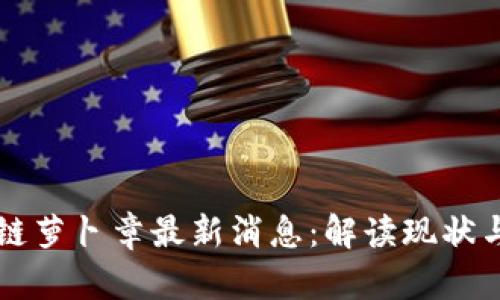 区块链萝卜章最新消息:解读现状与未来