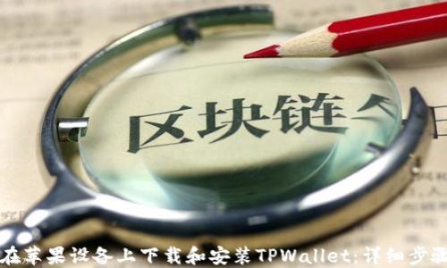 如何在苹果设备上下载和安装TPWallet:详细步骤指南