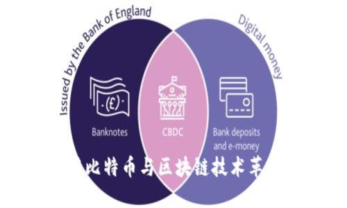亚马逊如何利用比特币与区块链技术革新电商生态系统
