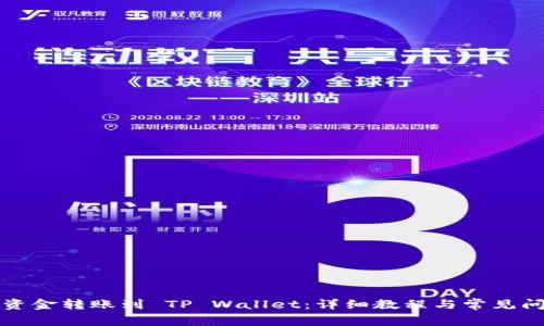 如何将资金转账到 TP Wallet:详细教程与常见问题解答