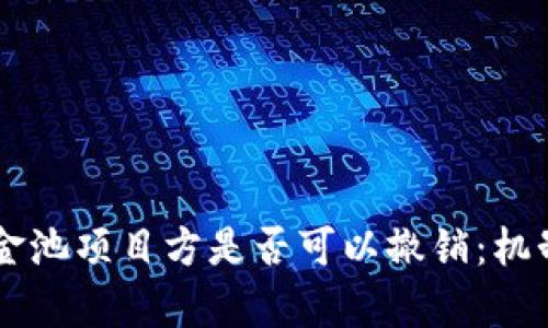 TPWallet资金池项目方是否可以撤销:机制与影响分析