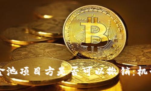 TPWallet资金池项目方是否可以撤销:机制与影响分析