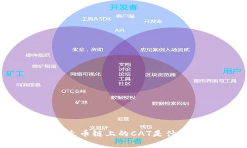 理解TPWallet：火币链上的CAT是什么及其应用前景
