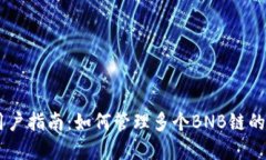 TPWallet用户指南：如何管理多个BNB链的资产与交易