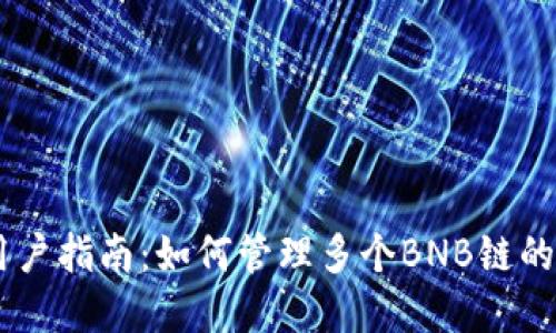 TPWallet用户指南:如何管理多个BNB链的资产与交易