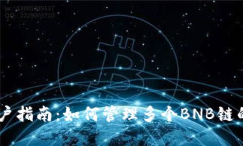 TPWallet用户指南:如何管理多个BNB链的资产与交易