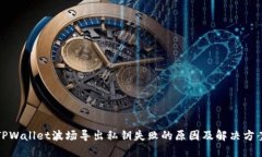 TPWallet波场导出私钥失败的原因及解决方案