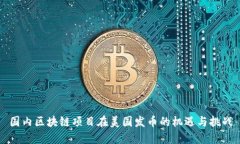 国内区块链项目在美国发币的机遇与挑战