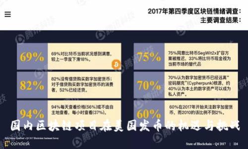 国内区块链项目在美国发币的机遇与挑战