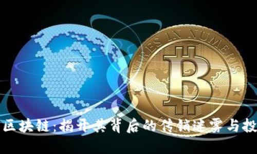 菠萝币区块链:揭开其背后的传销迷雾与投资价值