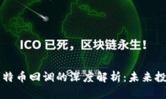 区块链技术与比特币回调的深度解析：未来投资