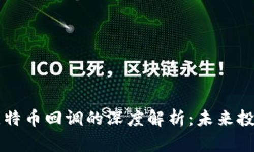 区块链技术与比特币回调的深度解析:未来投资的机遇与挑战