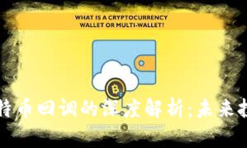 区块链技术与比特币回调的深度解析:未来投资的机遇与挑战