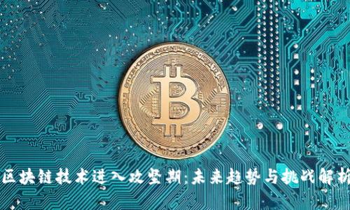 区块链技术进入攻坚期:未来趋势与挑战解析