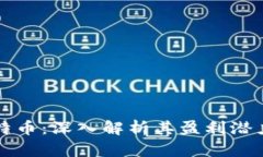 区块链与比特币：深入解析其盈利潜力与市场动