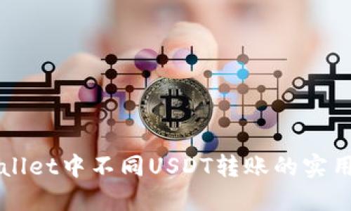 TPWallet中不同USDT转账的实用指南