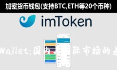 探讨TPWallet：国内与国际市场的差异分析