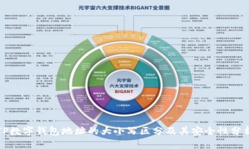 TP数字钱包地址的大小写区分及其安全性分析