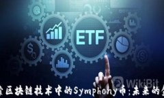 深入探索区块链技术中的Symphony币：未来的金融革