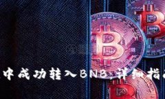  如何在TPWallet中成功转入BNB：详细指南与常见问