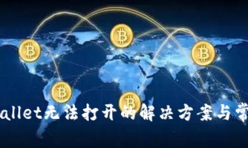 ndumTP Wallet无法打开的解决方案与常见问题解析