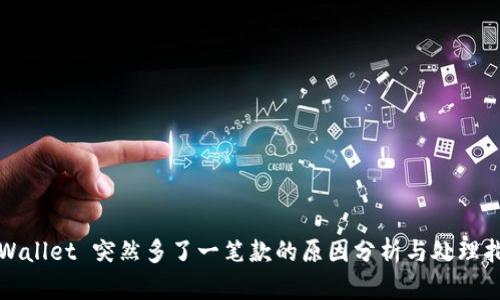TPWallet 突然多了一笔款的原因分析与处理指南
